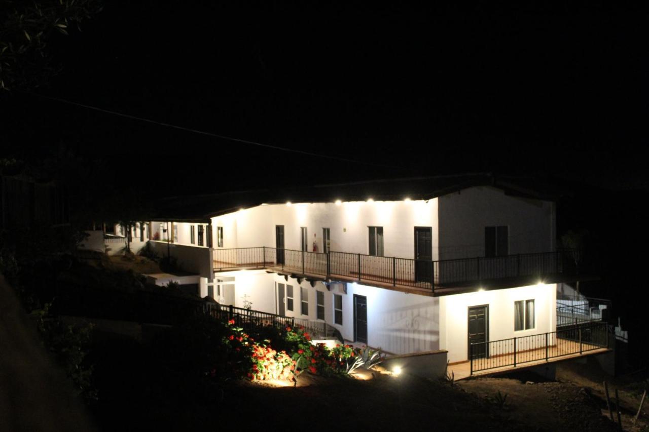 Vinas Del Castillo Ensenada Exteriér fotografie